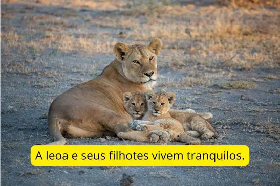 Tipos de sujeito. A leoa e seus filhotes vivem tranquilos." é um exemplo de oração com sujeito composto.