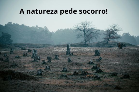 Tipos de sujeito. A frase "A natureza pede socorro!" é um exemplo de oração com o sujeito simples.