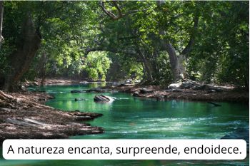 A natureza encanta, surpreende, endoidece. Exemplo de orações coordenadas.